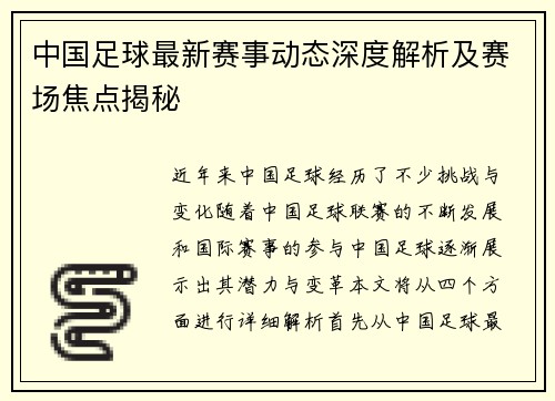 中国足球最新赛事动态深度解析及赛场焦点揭秘